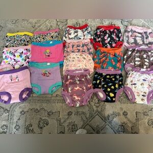 Training underwear 2T